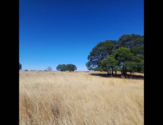 8.50HA VACANT LAND FOR SALE IN WITKOP